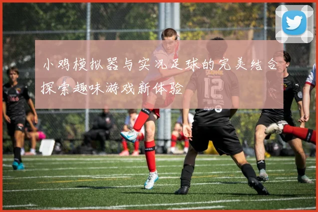 小鸡模拟器与实况足球的完美结合探索趣味游戏新体验