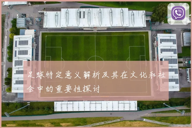 足球特定意义解析及其在文化和社会中的重要性探讨